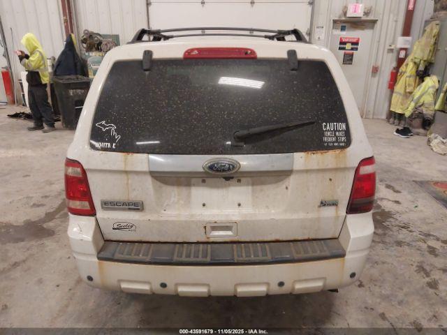 Ford Escape Limited Image 10