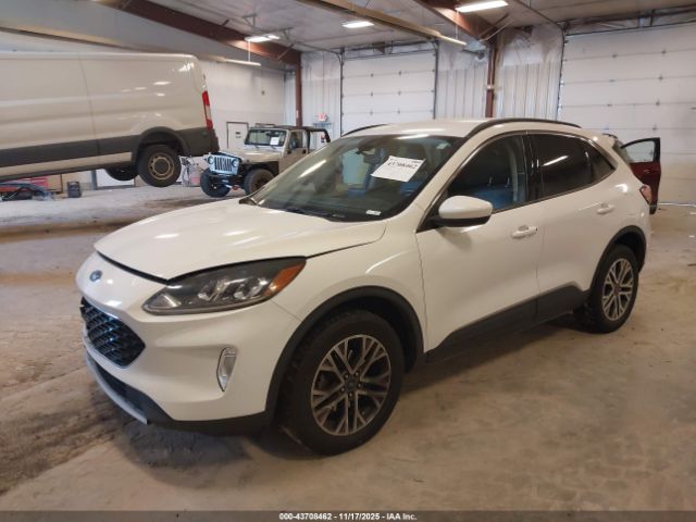 Ford Escape Sel Image 11