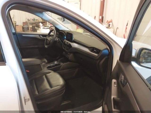 Ford Escape Sel Image 3