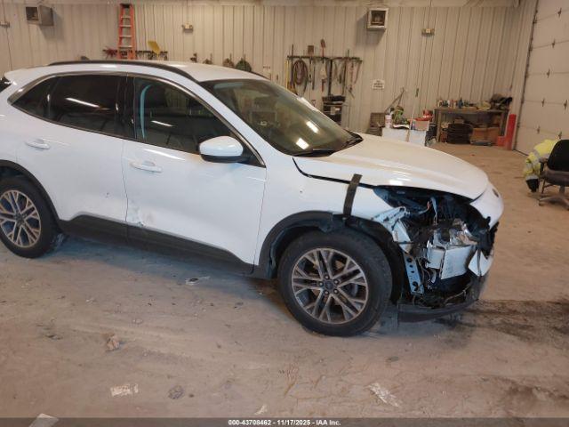 Ford Escape Sel Image 9