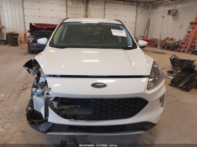 Ford Escape Sel Image 15