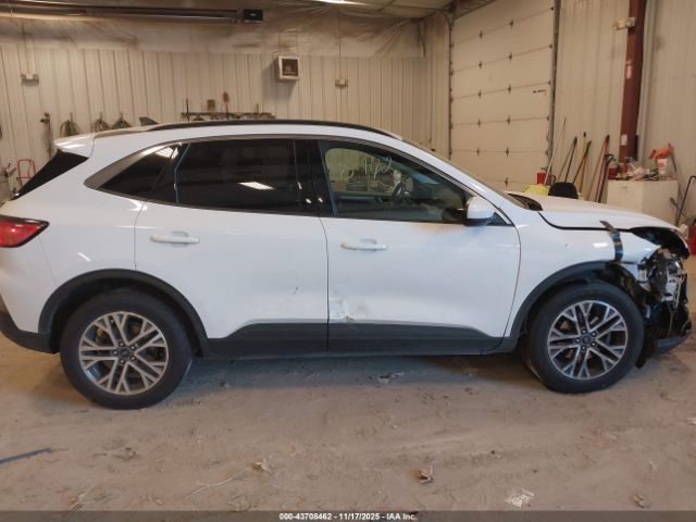 Ford Escape Sel Image 7