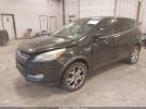 Ford Escape Sel Image 7
