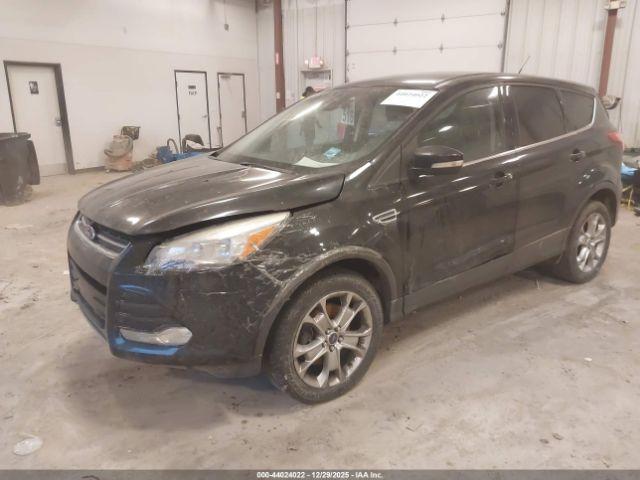 Ford Escape Sel Image 7