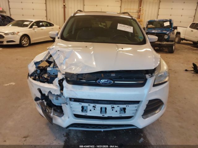 Ford Escape Se Image 5