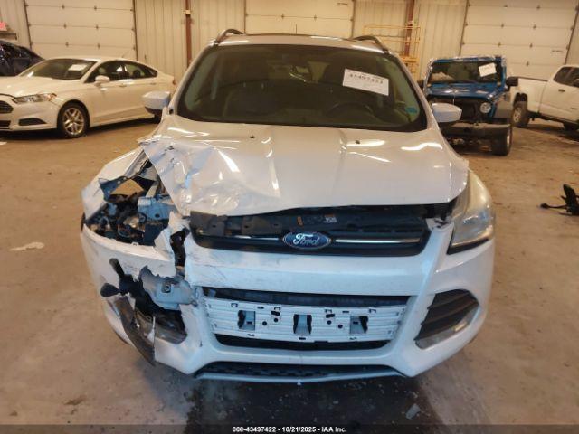 Ford Escape Se Image 5