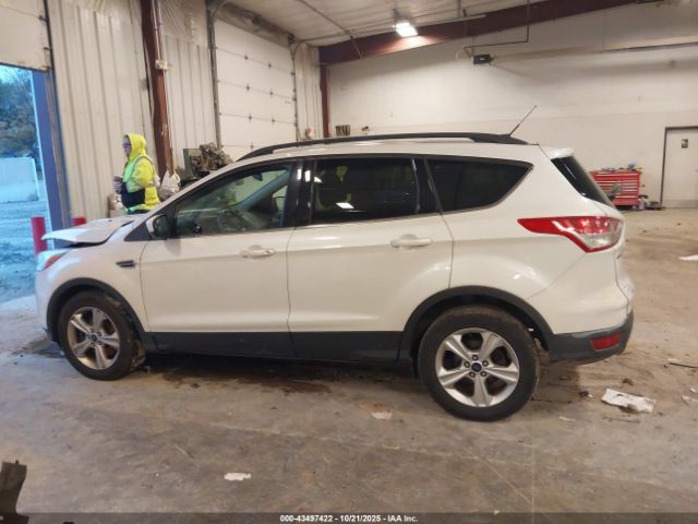 Ford Escape Se Image 14