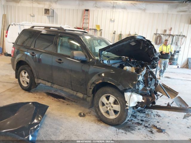 Ford Escape Xlt Image 1