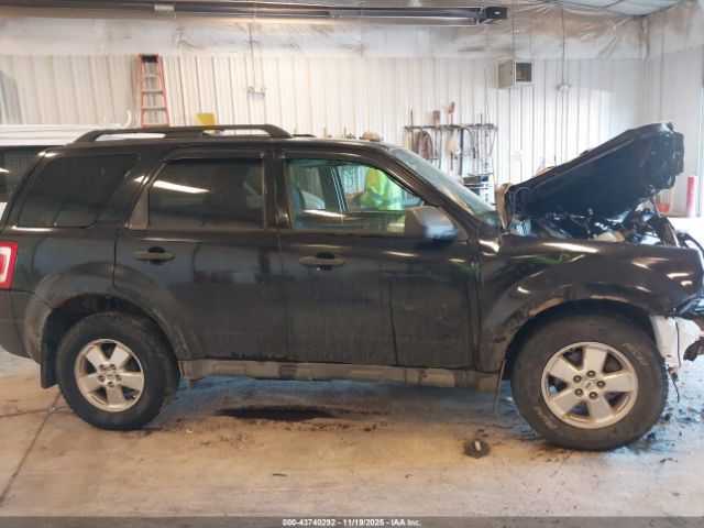 Ford Escape Xlt Image 9