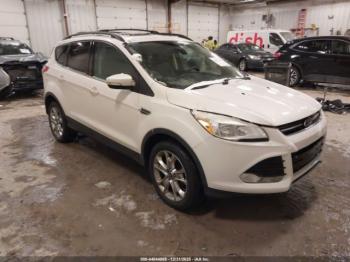 Salvage Ford Escape
