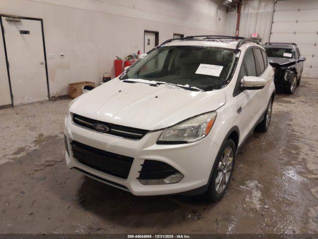 Ford Escape Sel Image 6