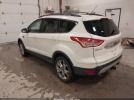 Ford Escape Sel Image 3