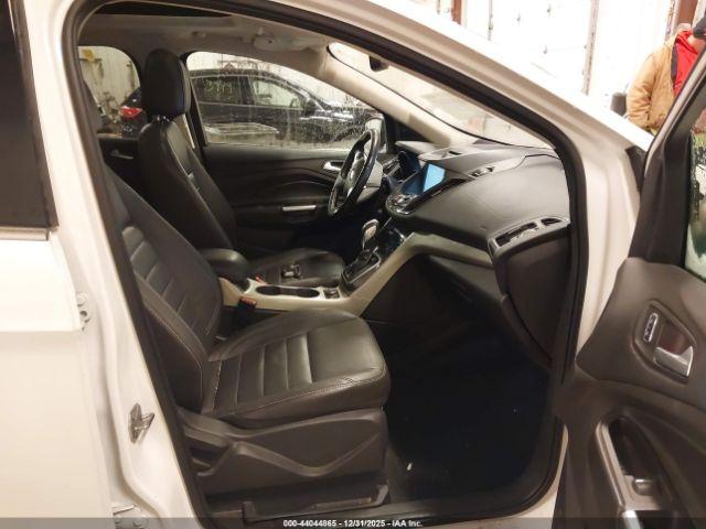 Ford Escape Sel Image 4