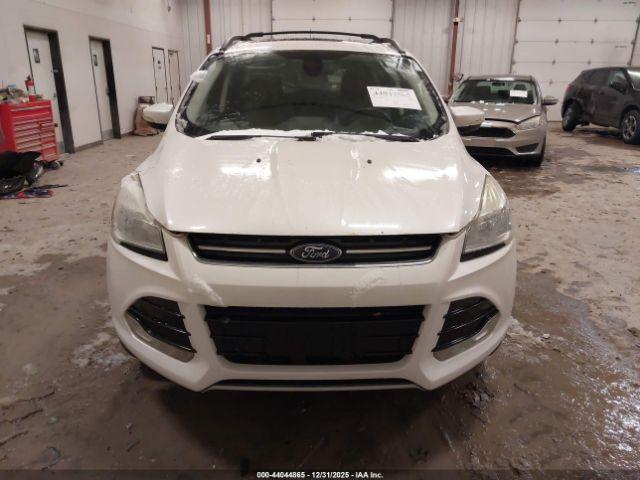 Ford Escape Sel Image 8