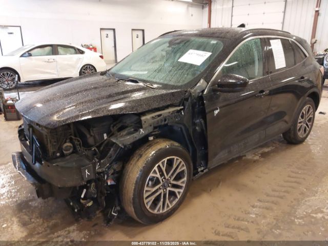 Ford Escape Sel Image 7