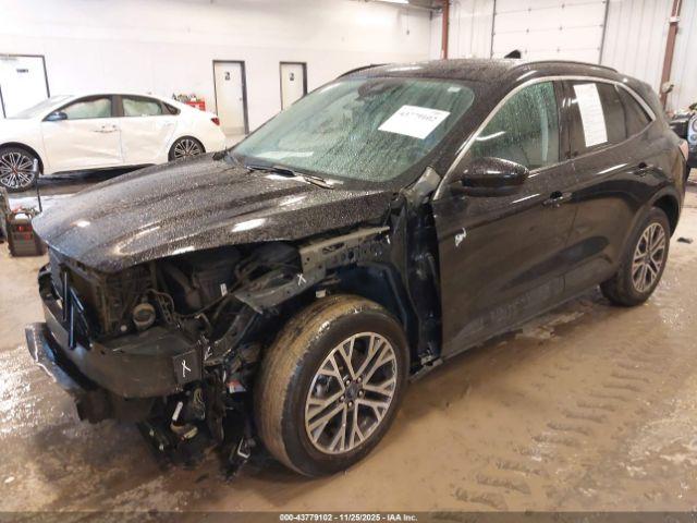 Ford Escape Sel Image 7