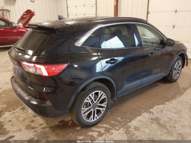 Ford Escape Sel Image 3