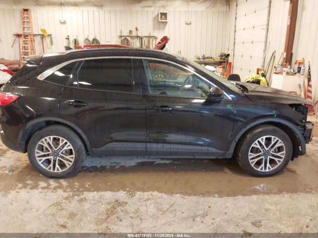 Ford Escape Sel Image 12