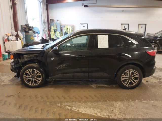 Ford Escape Sel Image 14