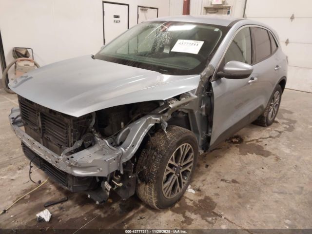 Ford Escape Sel Image 7