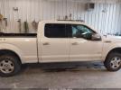 Ford F-150 Platinum Image 12