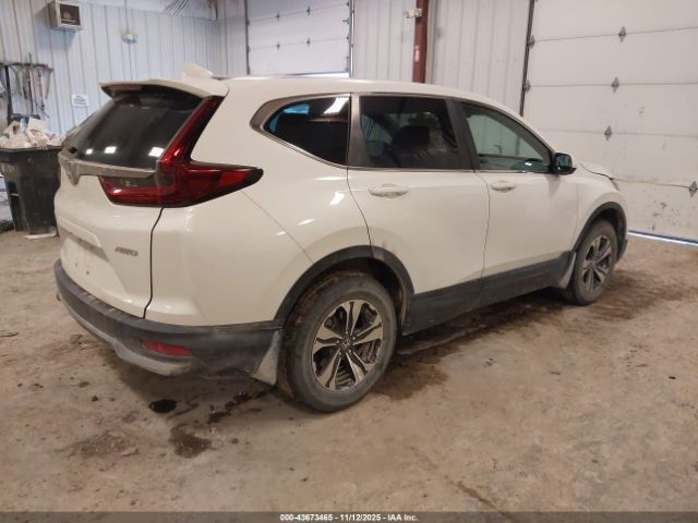 Honda CR-V Awd Lx Image 3