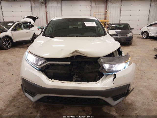 Honda CR-V Awd Lx Image 8