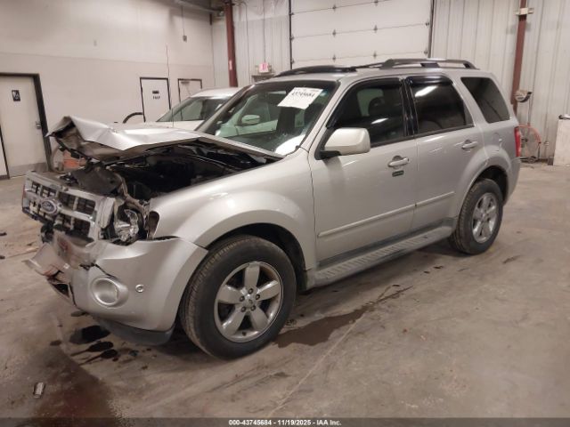 Ford Escape Limited Image 5