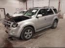 Ford Escape Limited Image 5