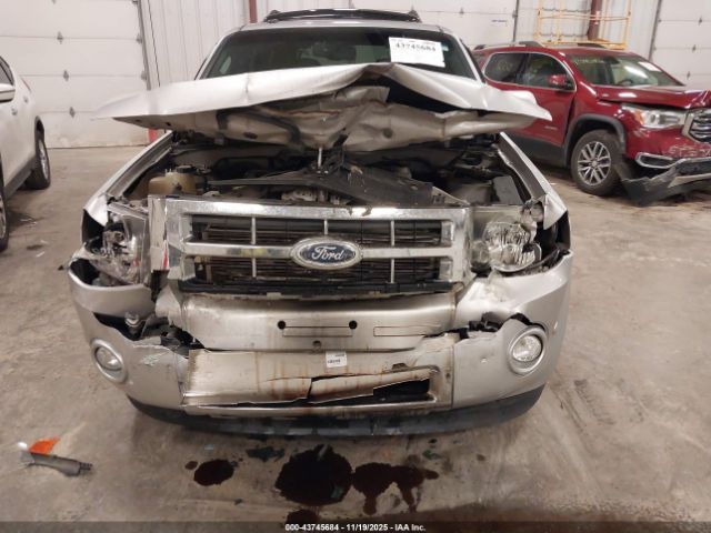 Ford Escape Limited Image 3