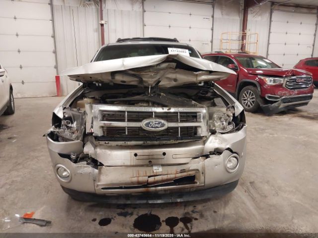 Ford Escape Limited Image 11