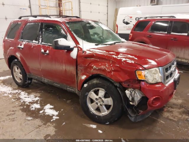 Ford Escape Xlt Image 1