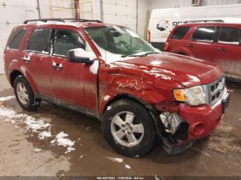  Salvage Ford Escape