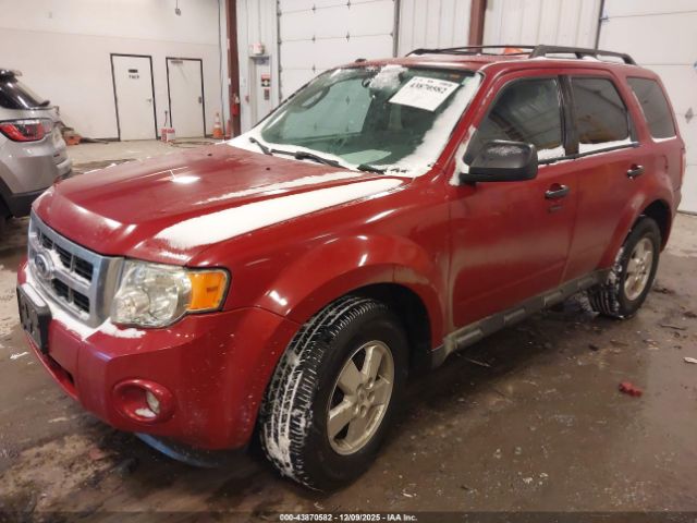 Ford Escape Xlt Image 5