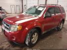 Ford Escape Xlt Image 5