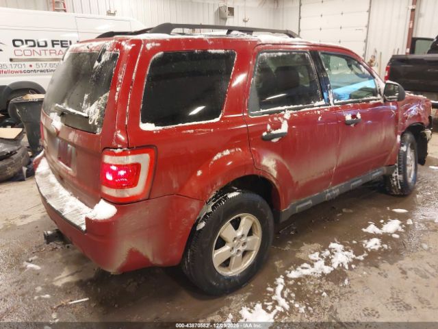 Ford Escape Xlt Image 8