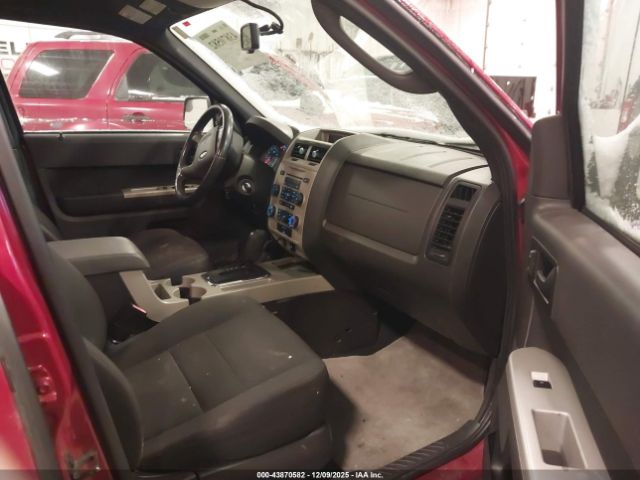 Ford Escape Xlt Image 3