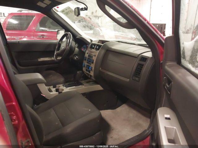 Ford Escape Xlt Image 3