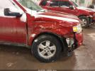 Ford Escape Xlt Image 10