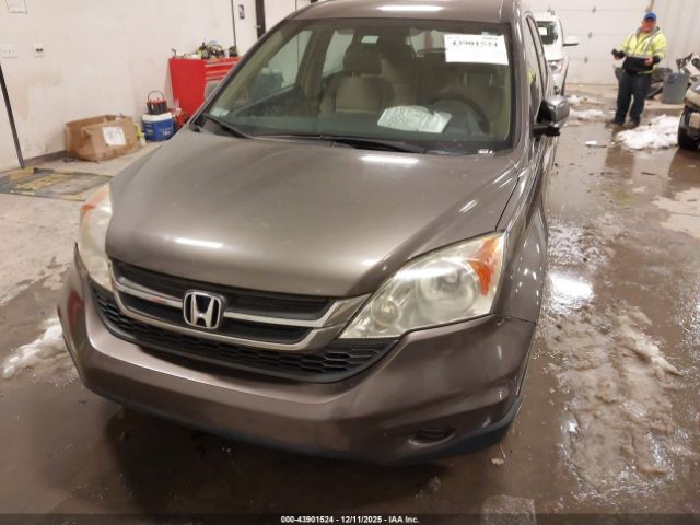 Honda CR-V Lx Image 3