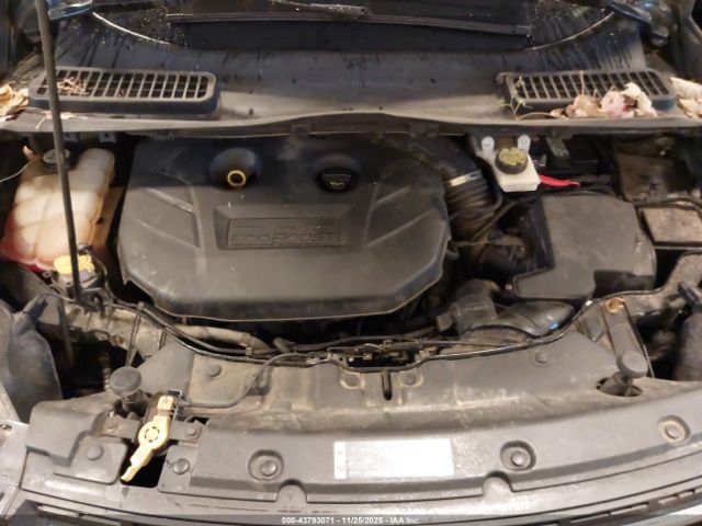 Ford Escape Se Image 10