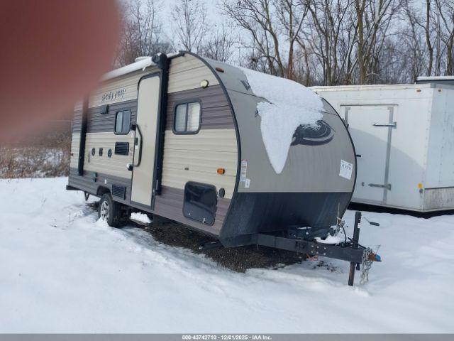  Salvage Forest River Wolf Pup