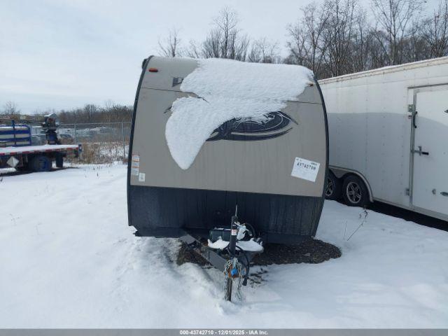 Forest River Wolf Pup Image 13