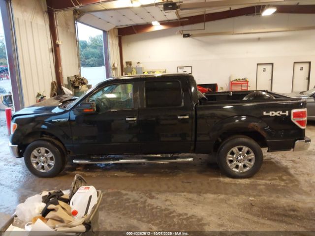 Ford F-150 Image 14