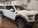 Ford F-150 Raptor Image 1