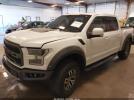 Ford F-150 Raptor Image 6