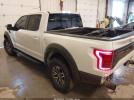 Ford F-150 Raptor Image 4