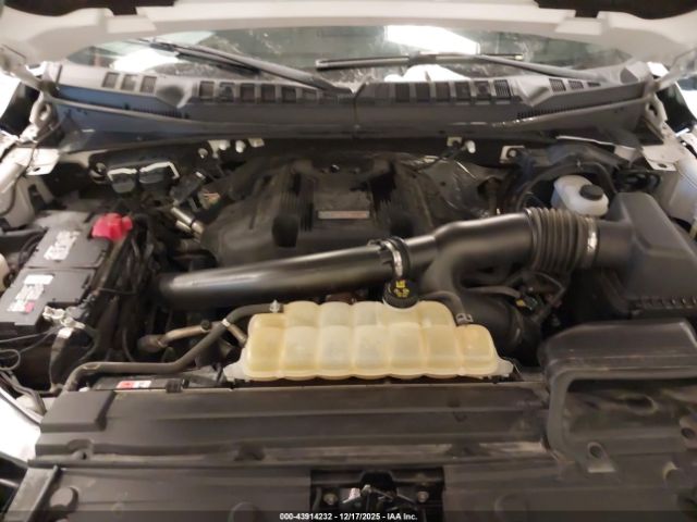 Ford F-150 Raptor Image 12