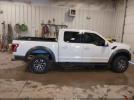 Ford F-150 Raptor Image 9