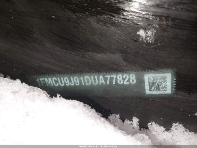 Ford Escape Titanium Image 11